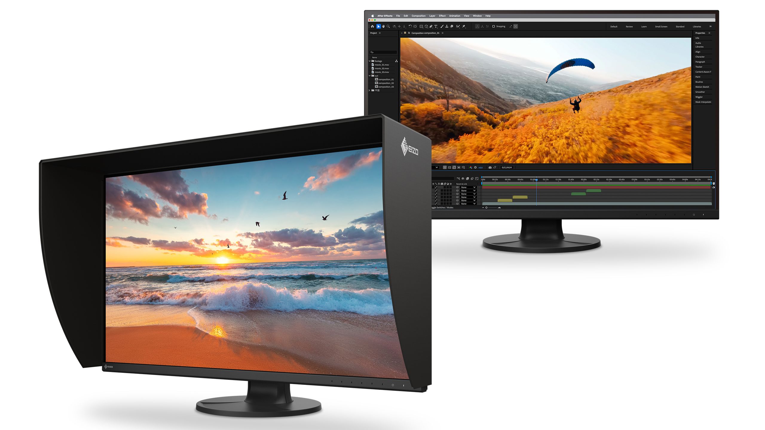 Serious About Macro and Editing? How a Twin Flash and a Colour-Accurate Monitor Can Transform Your Photos