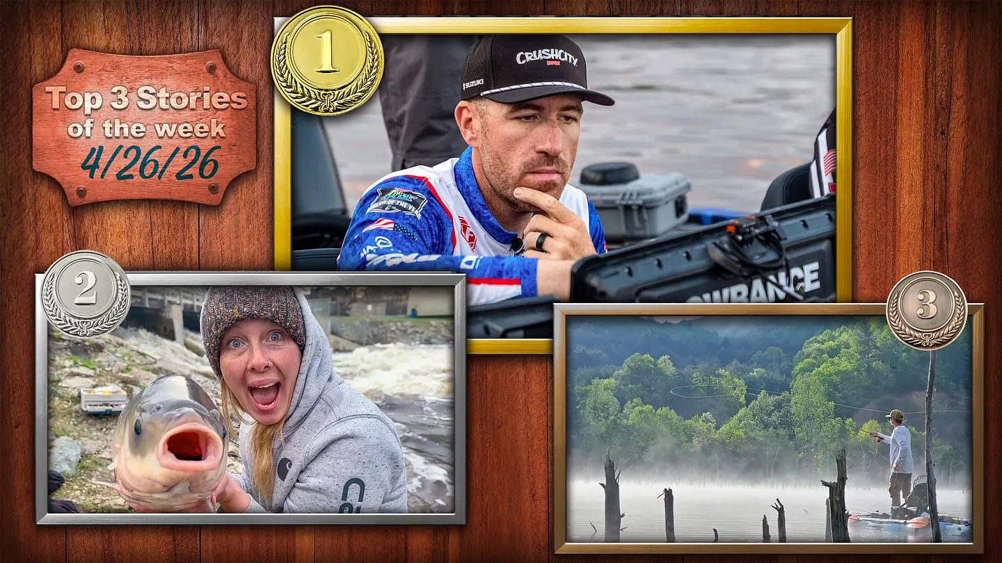From Carp to Clean Casts: A Practical Guide to Tough Fly Targets and Better Technique