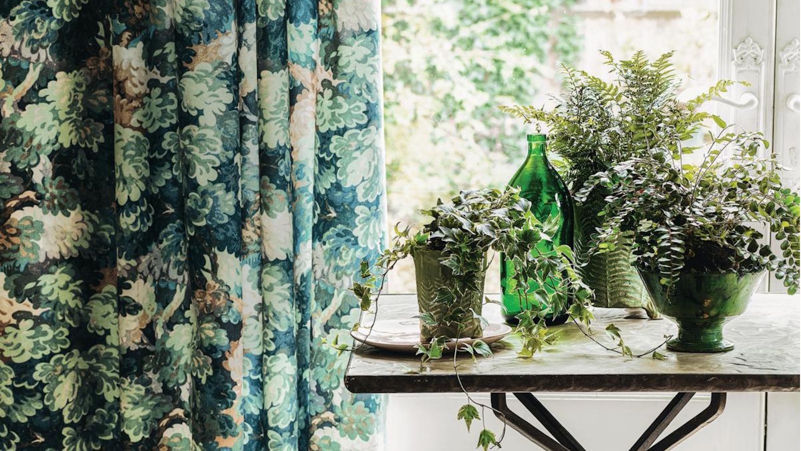 Turn Clearance Rack Houseplants into Chic Indoor Decor: A 5-Step Rescue and Styling Guide
