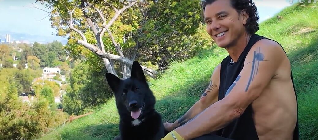 Thinking of Getting a Dog? Why Adopting a Rescue Can Change Both Your Lives