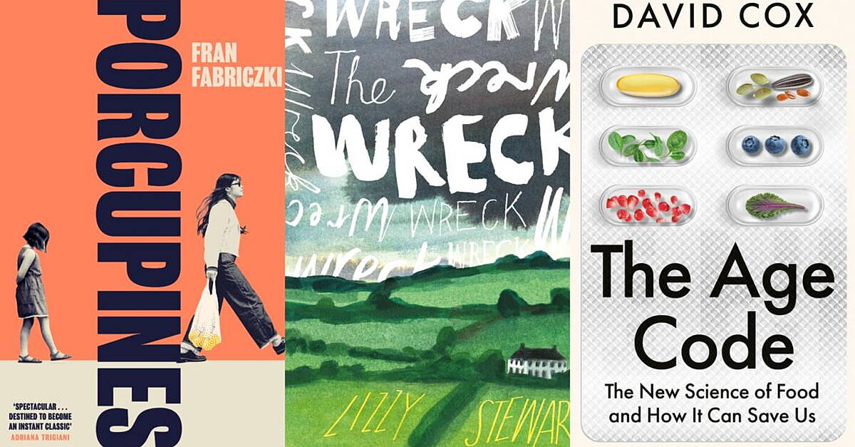 New Novels That Stay With You: Heart the Lover, Porcupines, The Wreck and More Deeply Moving Reads
