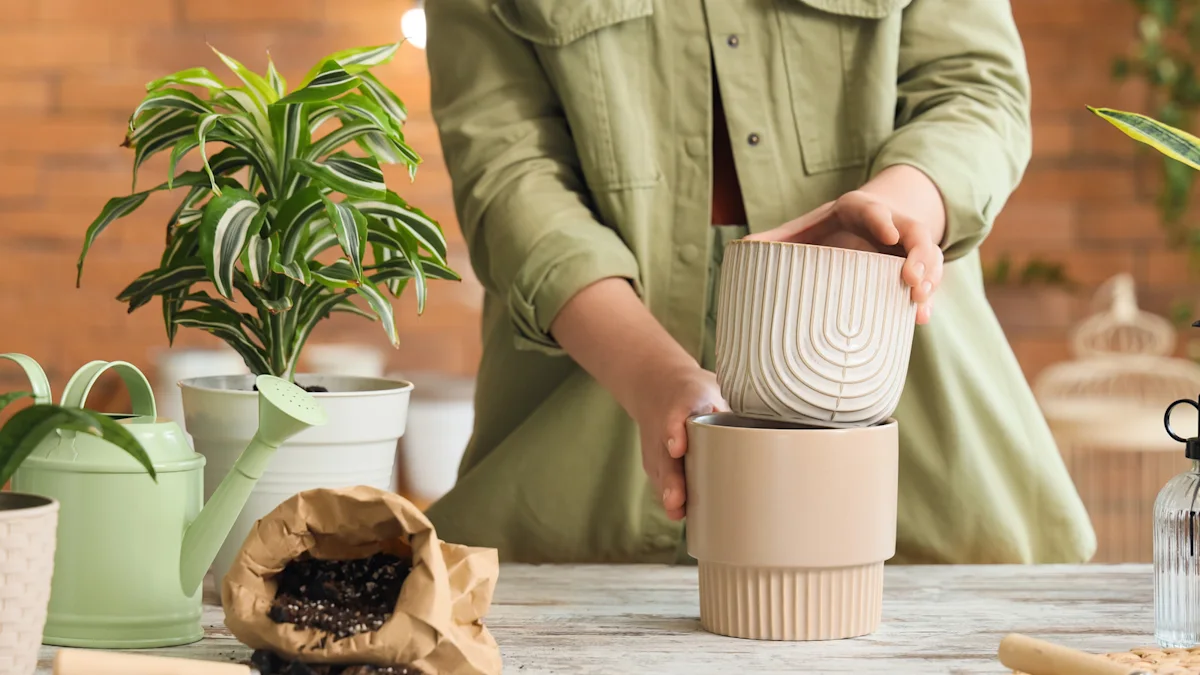This Affordable Aldi Find Turns Any Corner into a Stylish Indoor Garden