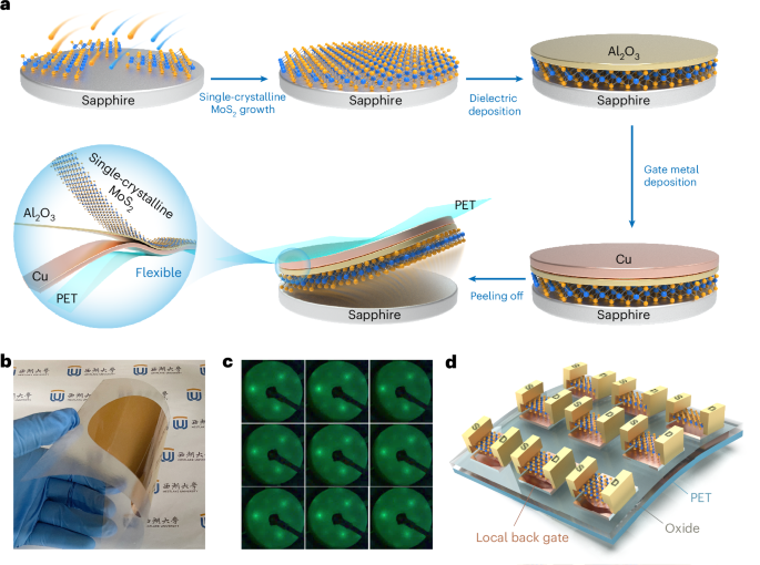 The Power of One: How Single-Atom Chips and Single-Crystal Materials Are Quietly Reshaping Tech