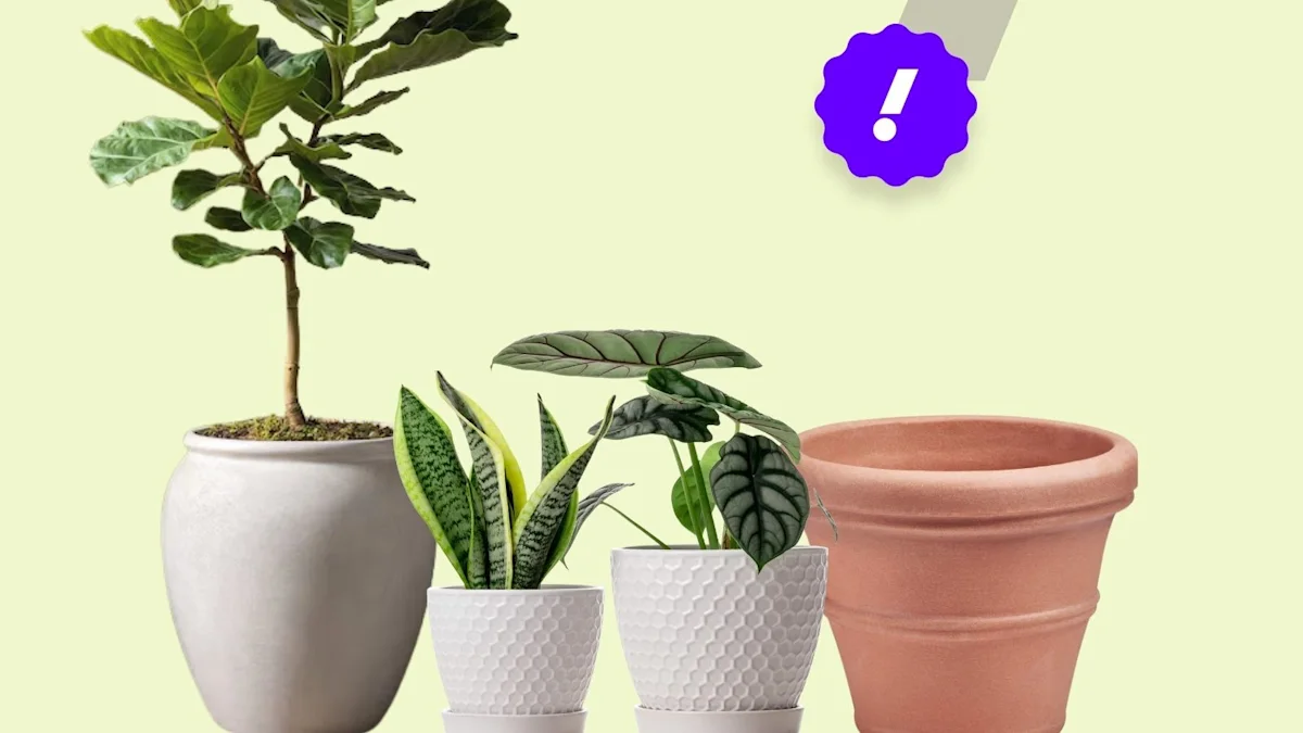 11 Best Plant Pots of 2026: Stylish Picks to Elevate Your Indoor Jungle and Balcony Garden