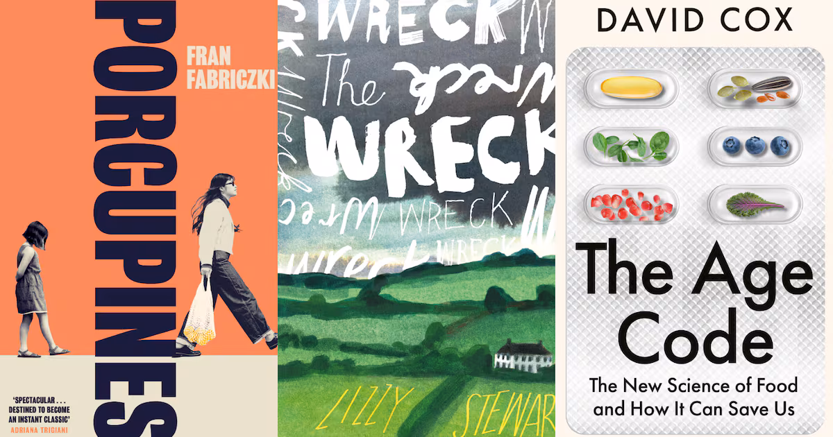 From ‘Porcupines’ to ‘Son of Nobody’: 3 Ambitious New Novels for Readers Who Love Big Ideas