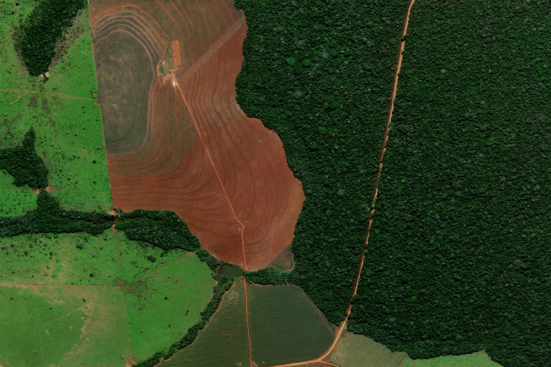AI for the Forest, AI for the Server Farm: How Indigenous Lands Are Caught in the Middle