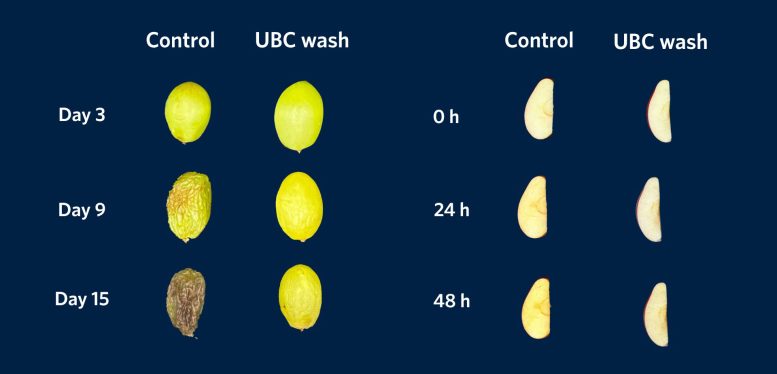 This New Starch-Based Fruit Wash Claims to Cut Pesticides and Keep Produce Fresh for Days Longer