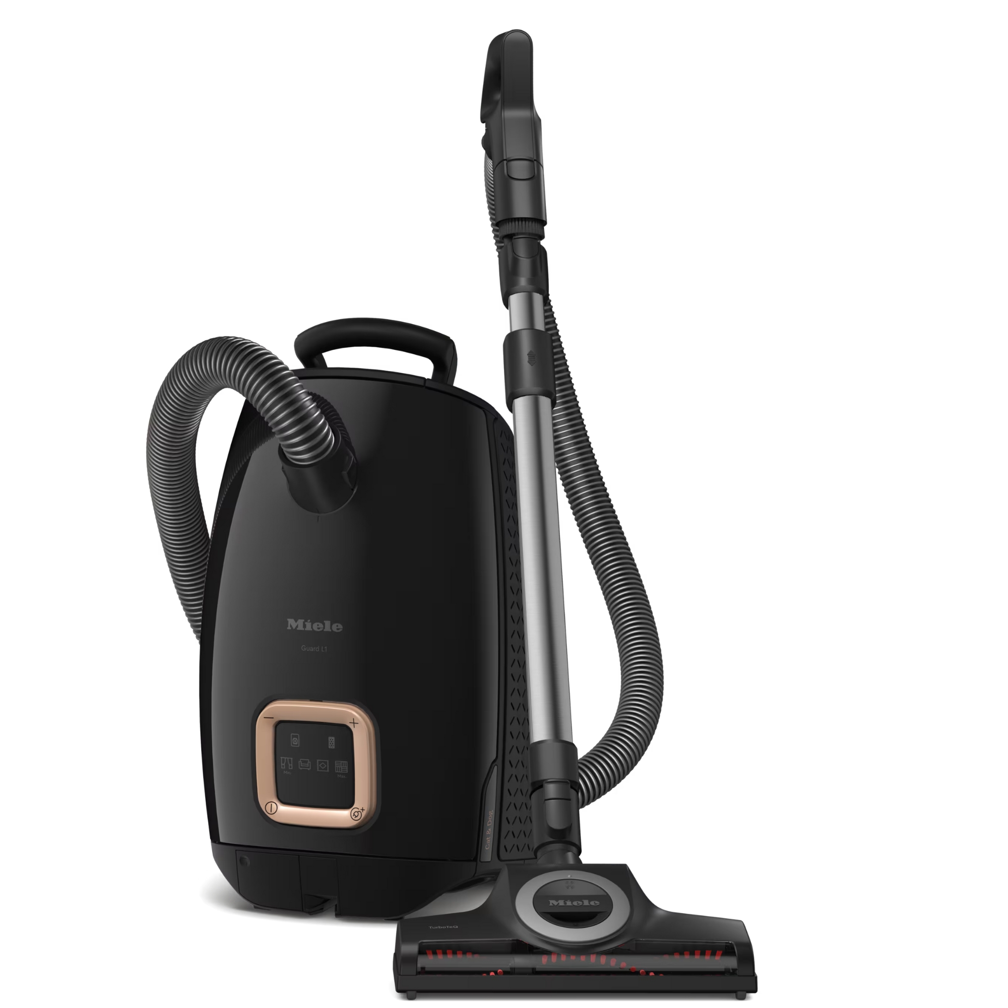 Tired of Fur Everywhere? Tested Tools That Actually Tackle Dog Hair in Malaysian Homes