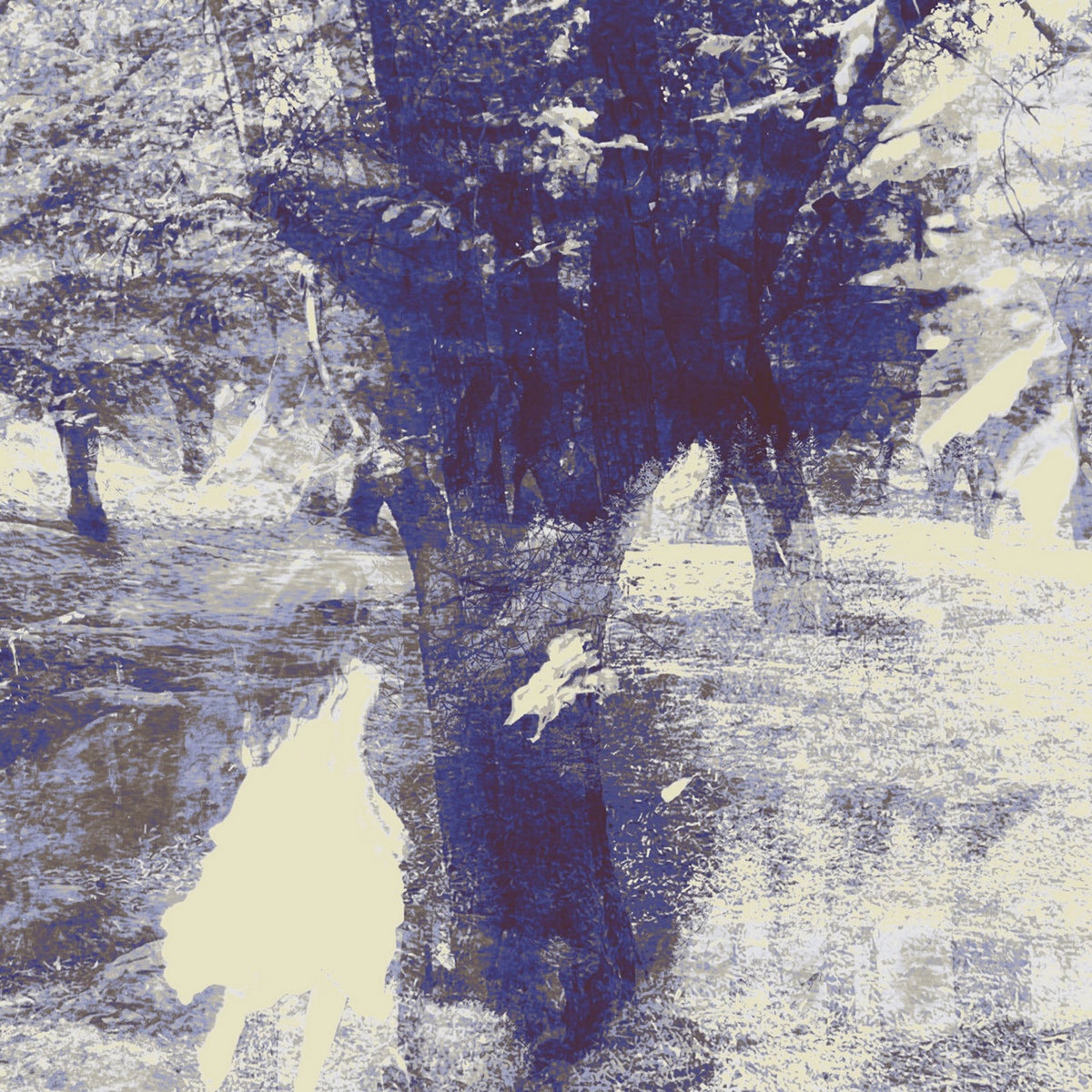 Grunge Guitars and Shadowy Soundscapes: Inside the New Wave of Alt‑Rock Breaking Through Online