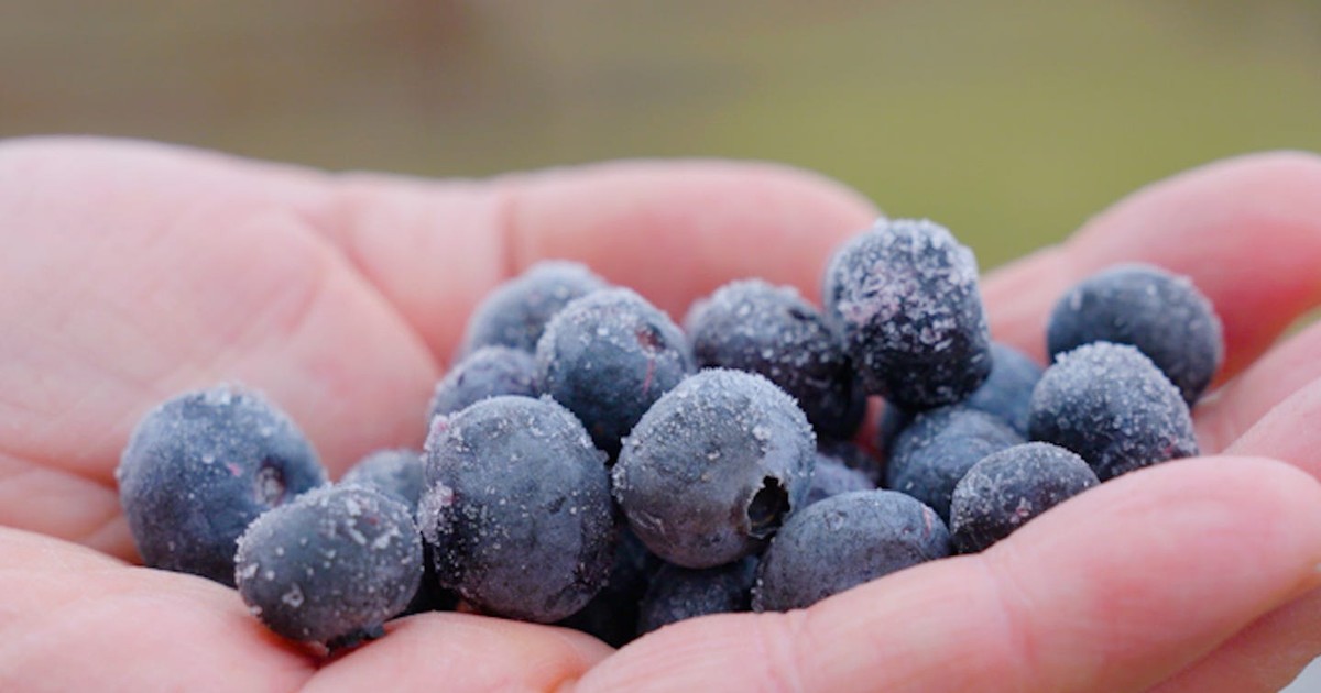 Is Organic Food Really Too Expensive? What You’re Paying For, From Farm to Shelf