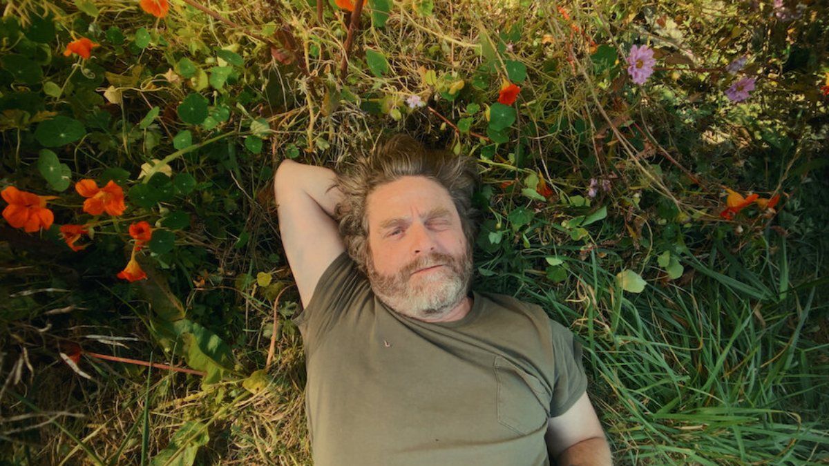 New to Stream in May: ‘Send Help’, ‘Industry’ and a Quirky Gardening Show for Every Mood