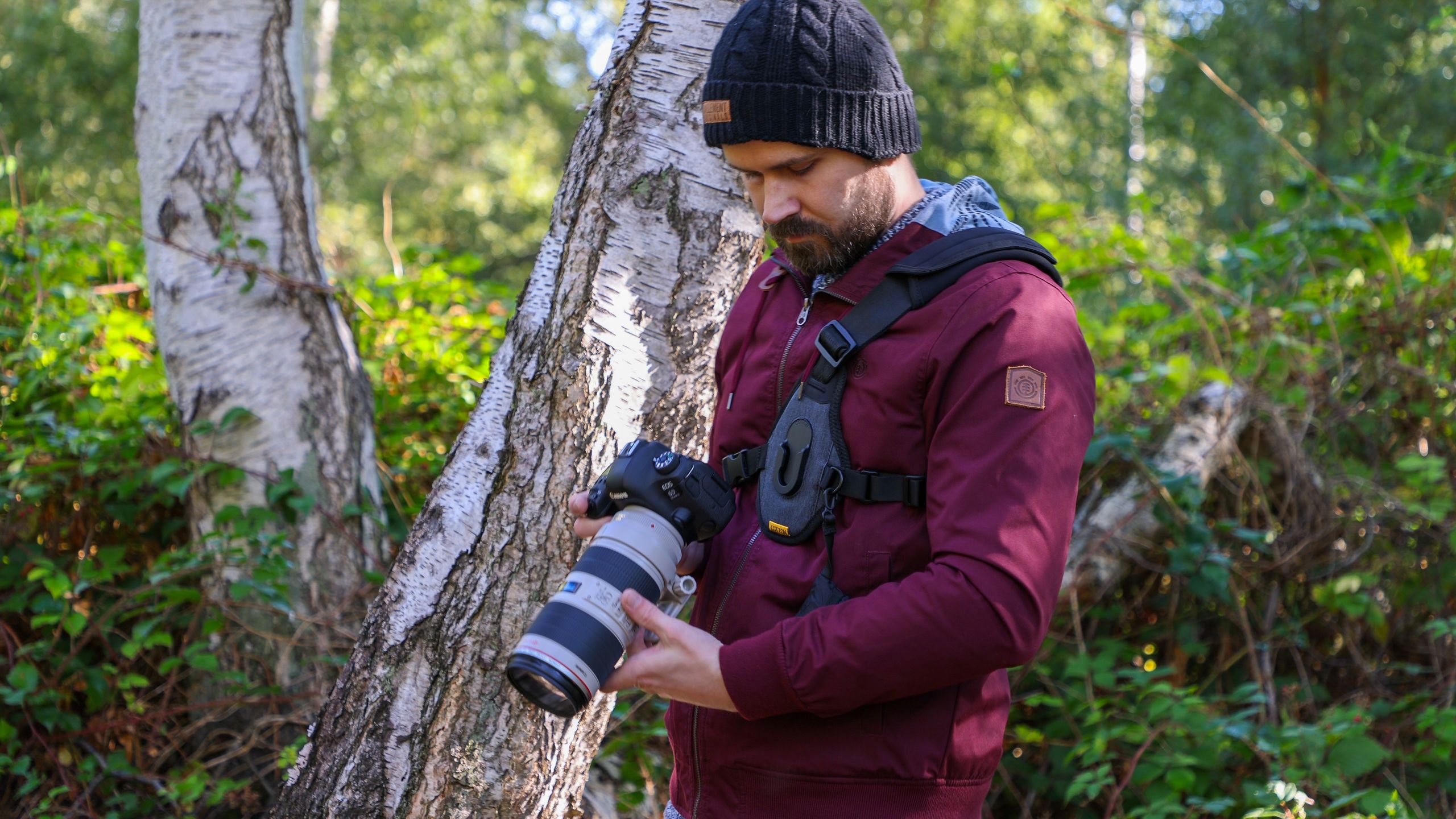 Budget Camera Gear: How to Save on Harnesses, Flash Triggers and Super‑Zoom Compacts