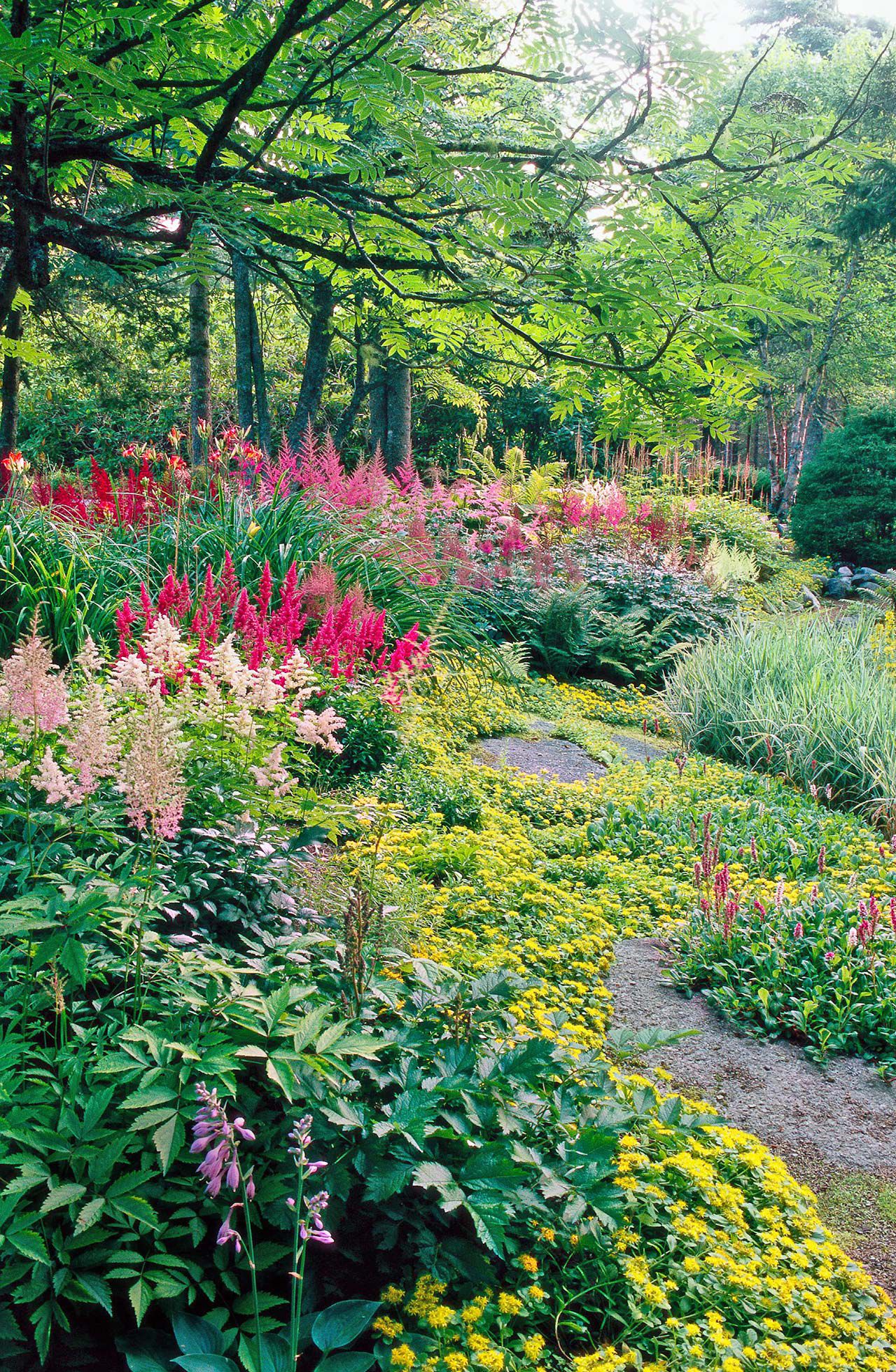 No Direct Sun? No Problem: Shade-Loving Plants and Styling Tricks for a Cozy Sunroom Garden