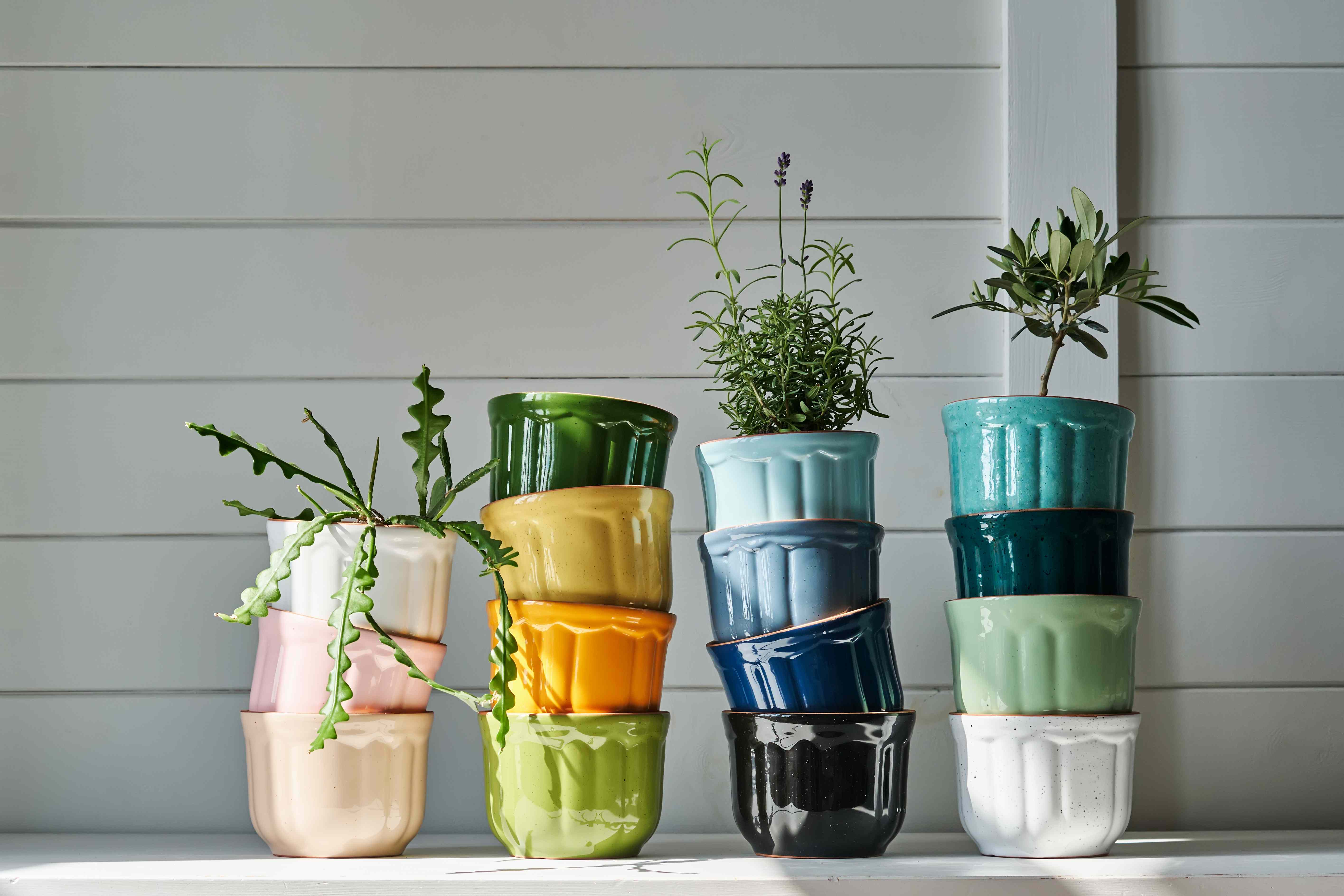 Are Glazed Pots Secretly Sabotaging Your Sunroom Plants? What Pros Say and How to Choose Better Containers
