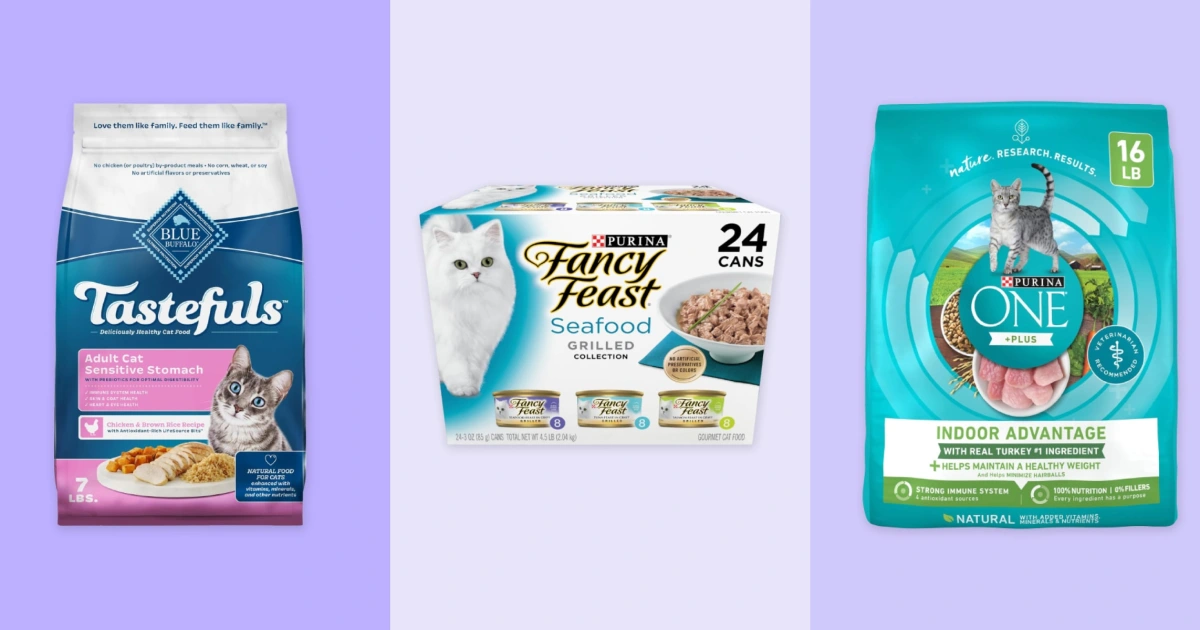 Wet vs Dry Cat Food: What Vets Actually Recommend for Your Malaysian Indoor Cat