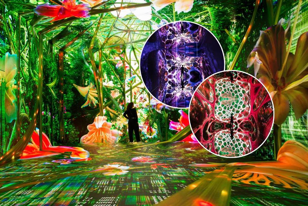 Inside LA’s New AI Art Museum: A Living Digital Rainforest and a Bet on ‘Ethical’ Algorithms
