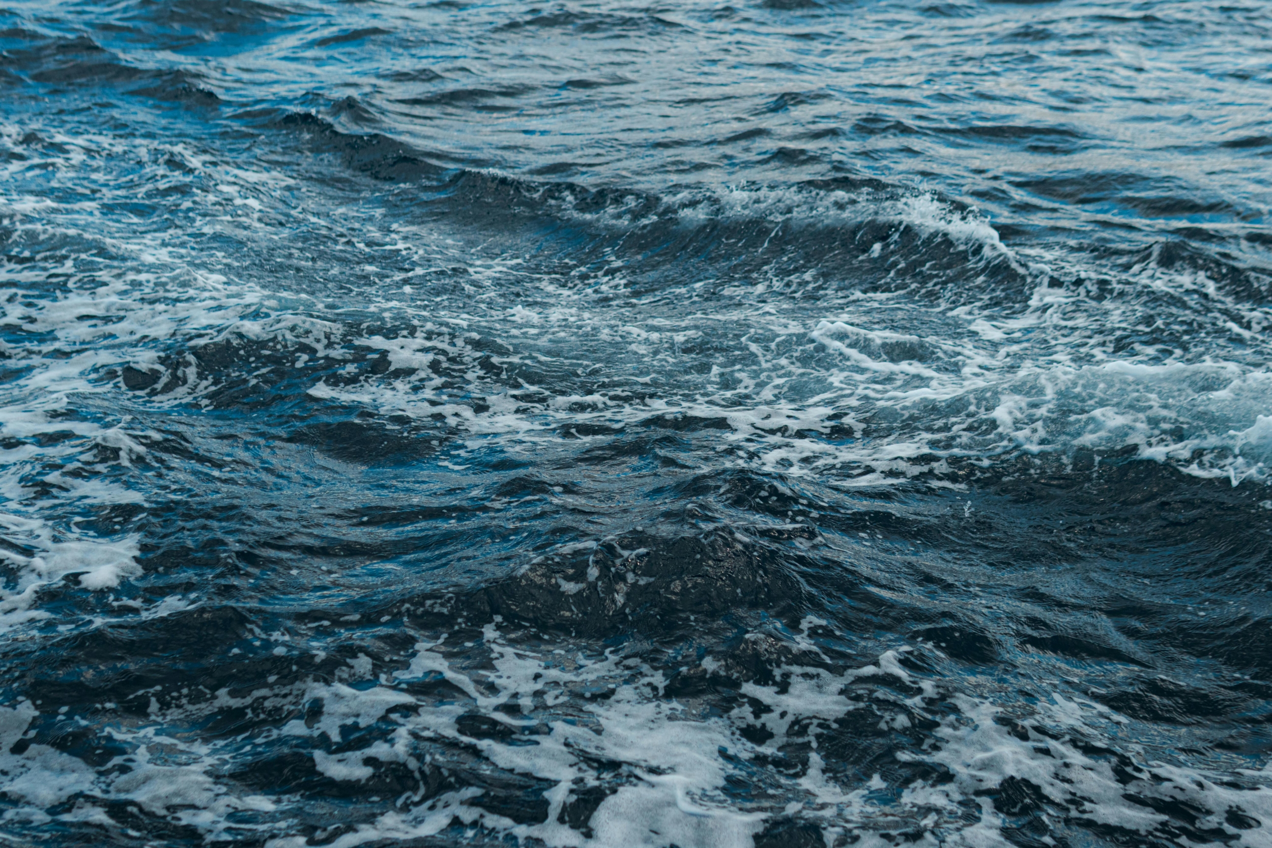 From Golden Orbs to AI Currents: Inside the New Tech Revolution Quietly Transforming Ocean Voyages