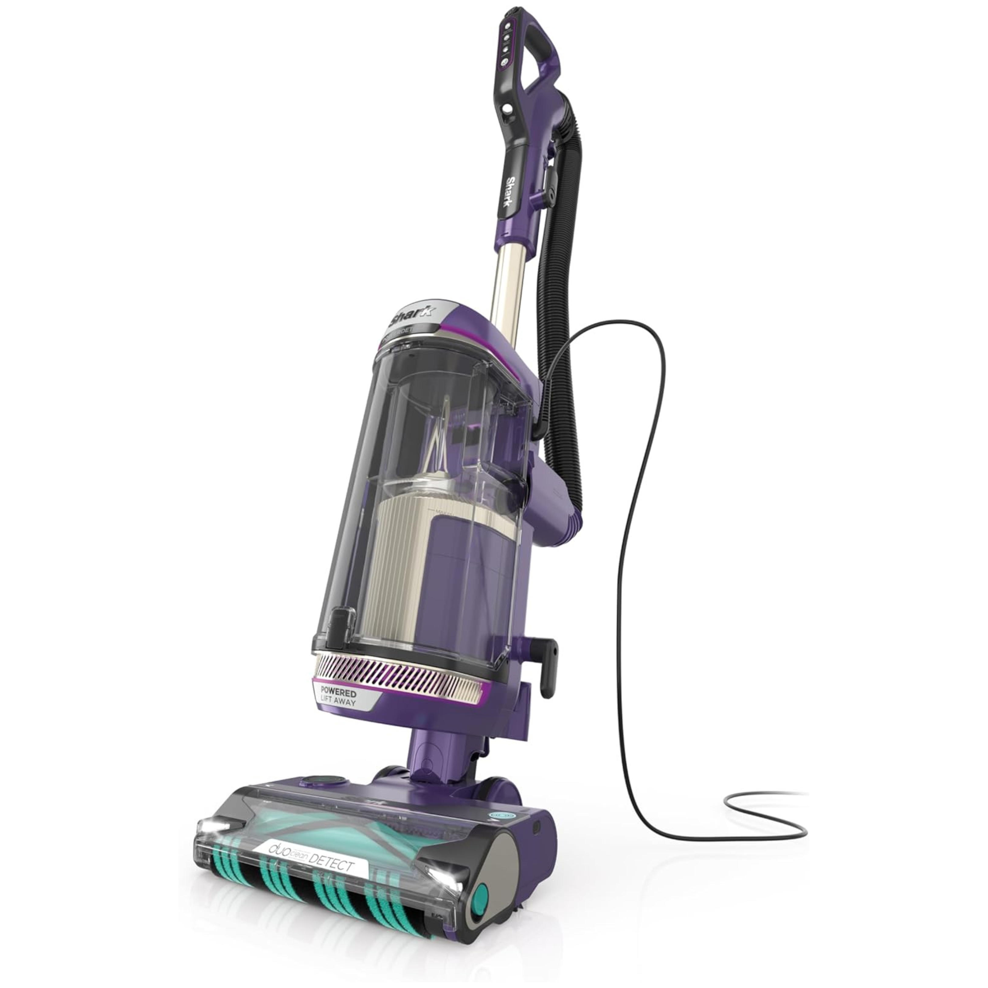 Tired of Fur Everywhere? Tested Tools That Actually Tackle Dog Hair in Malaysian Homes