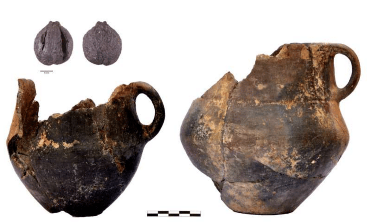 Tasting the Ancient World: What Prehistoric Menus Reveal About Today’s Food Travel Obsessions