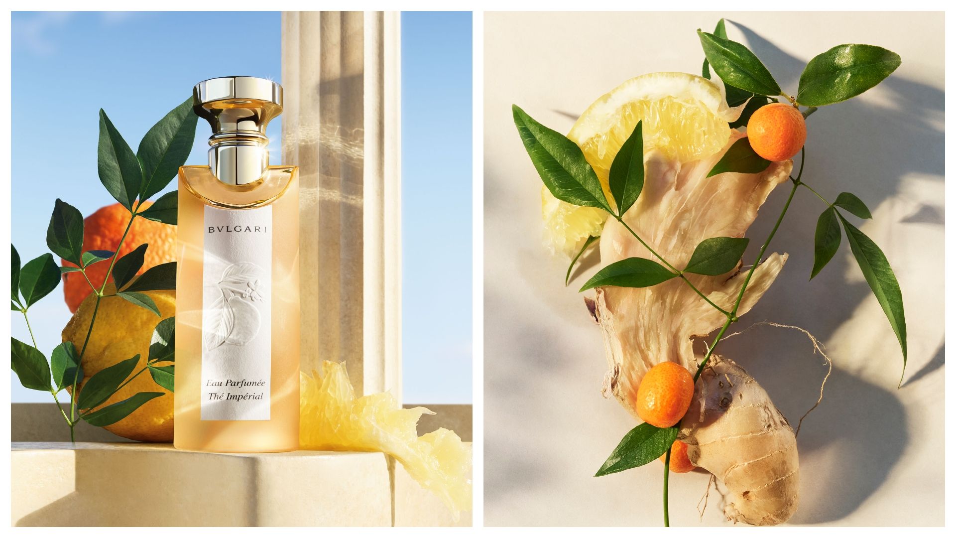 The Future of Fragrance: Why Perfumes Are Booming and How Luxury Scents Are Being Reinvented