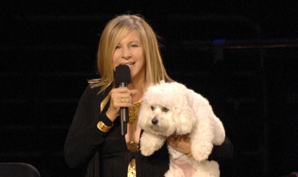 When a Celebrity’s Dog Dies, Why Do We Feel It Too? What Kaley Cuoco’s Tribute Says About Pet Grief