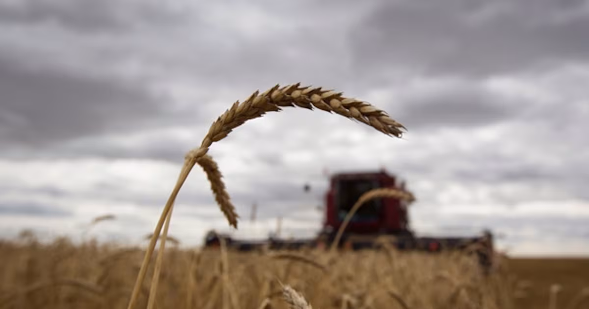 From Farm to Family Recipes: How Agroecology Could Protect Cultural Food Traditions in a Volatile World