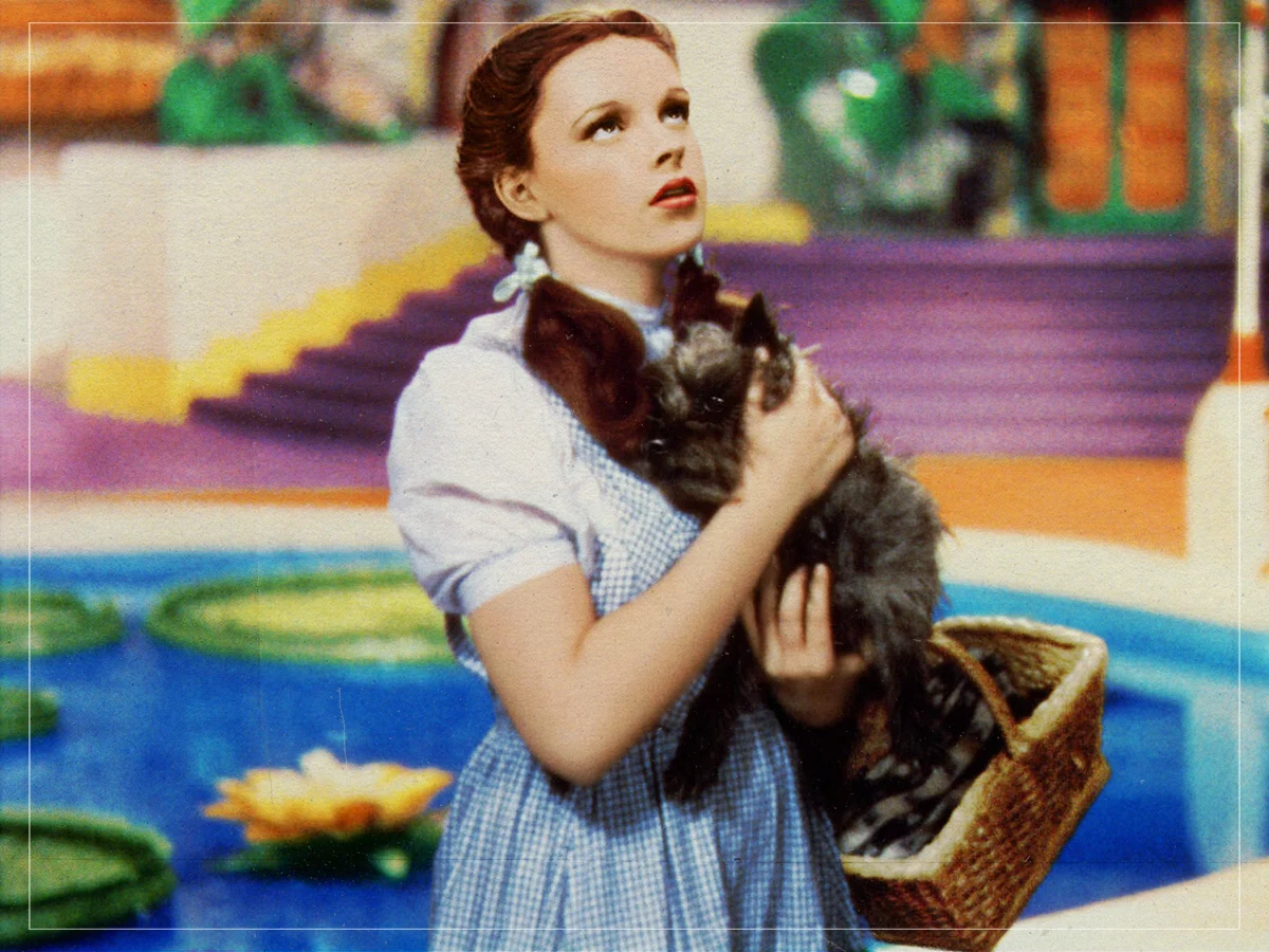 Forgotten Blockbusters, Hidden Classics and Big Movie Myths: How Our Memory of Cinema Gets It Wrong