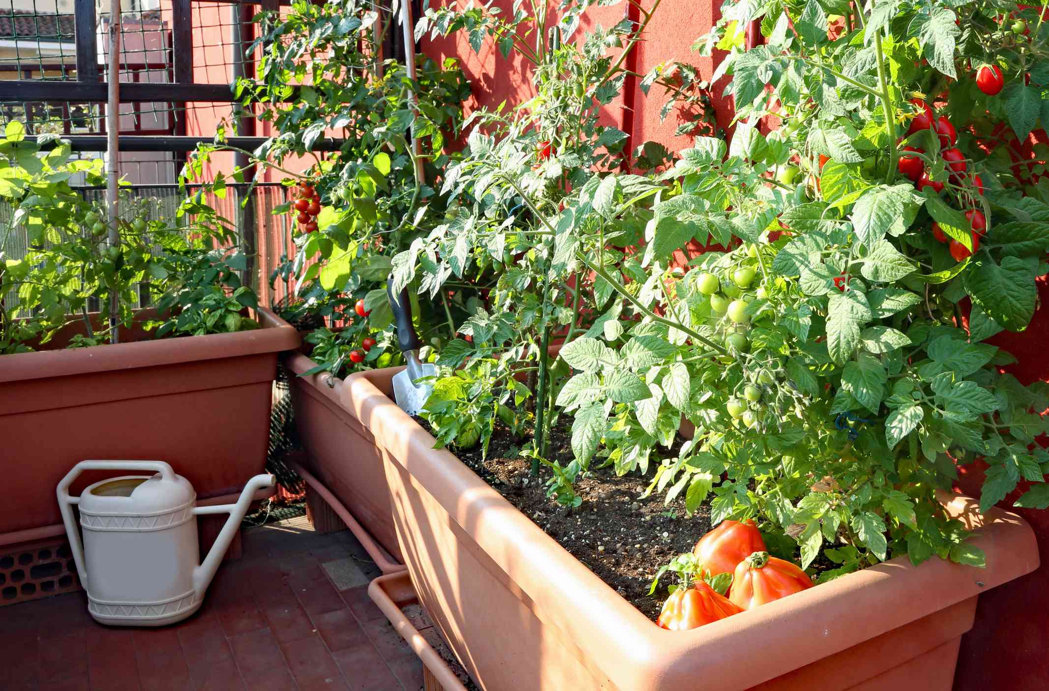 The Best Planter Pots to Make Your Sunroom Garden Look Pulled-Together, Not Cluttered
