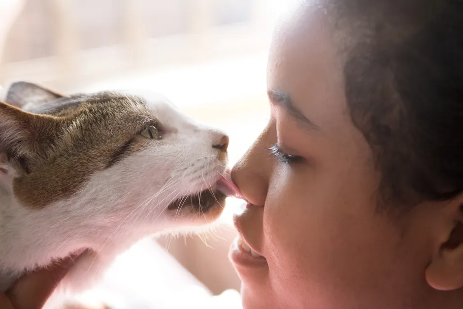 Why Your Cat Won’t Stop Licking You: Weird Science Behind a Surprisingly Sweet Habit