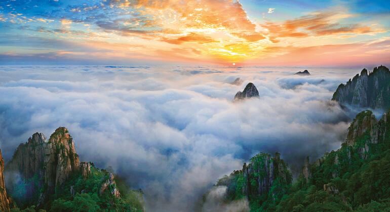 UNESCO World Heritage Sites Are Quietly Saving Global Wildlife — But For How Long?