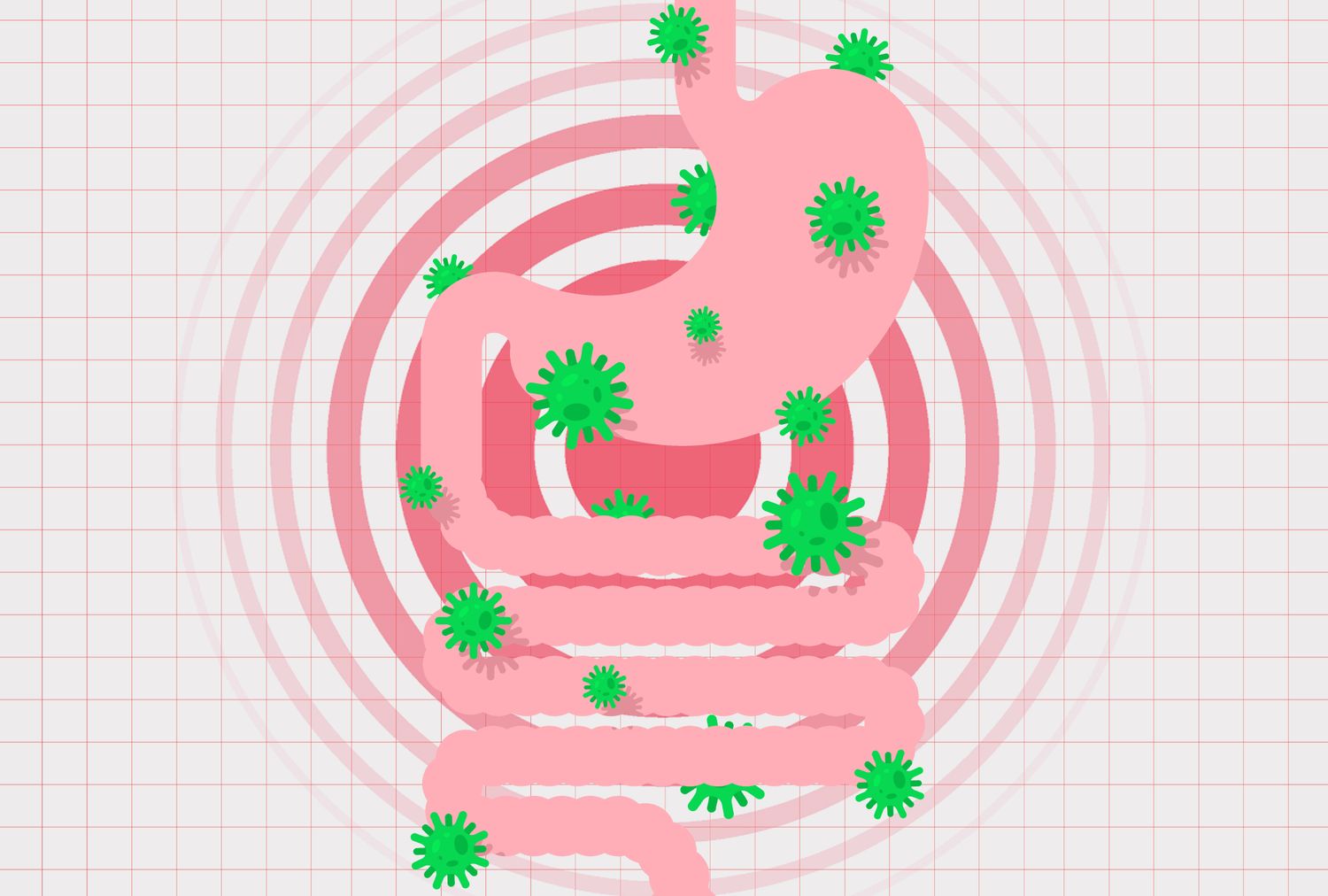 Stop Sabotaging Your Gut: 5 Everyday Foods Dietitians Say Can Quietly Wreck Digestion