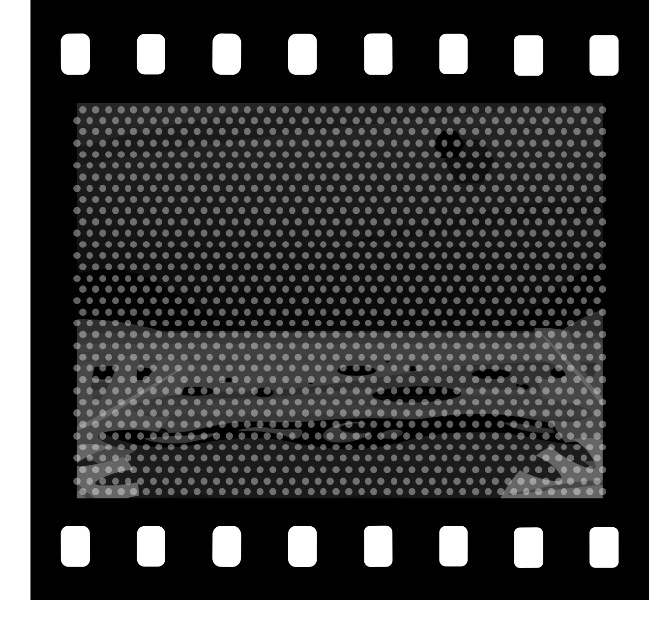Film Photography Is Booming Again — But Can the Industry Actually Keep Up?