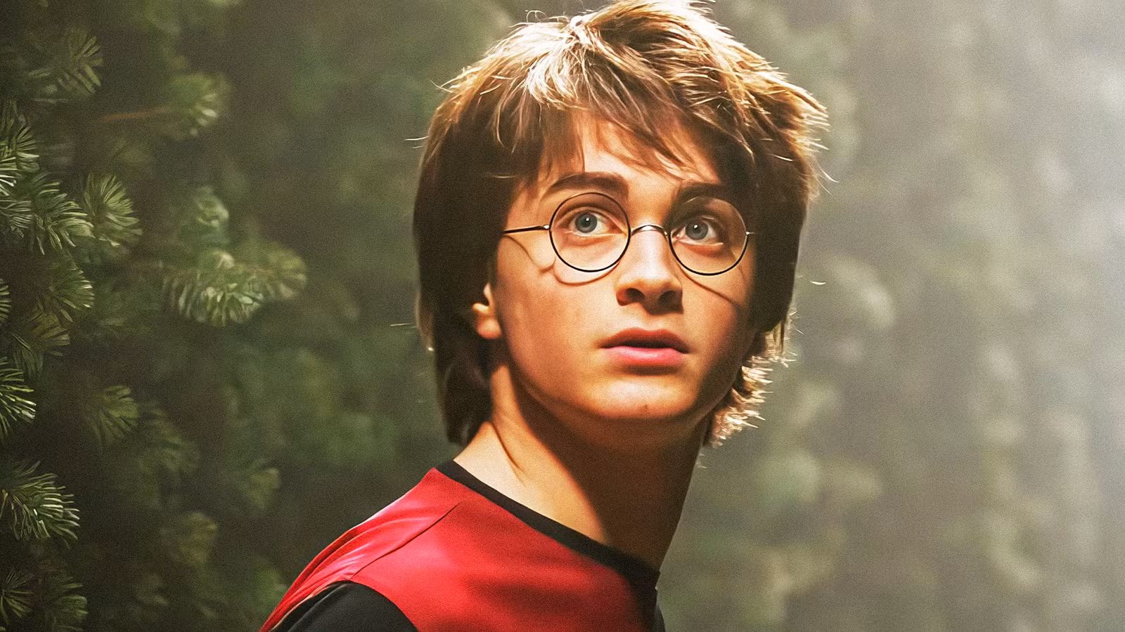 Daniel Radcliffe’s New Harry Potter Movie Rankings Are In — Here’s Why His Least Favourite Pick Is So Controversial