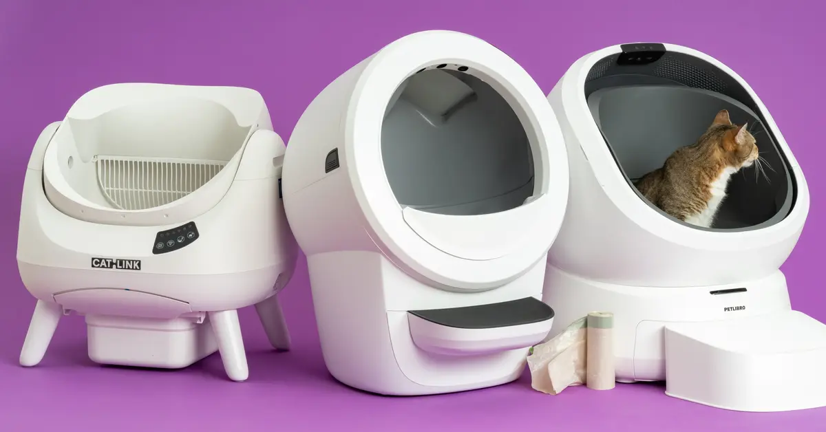 I Tried an Automatic Litter Box So My Cat Could Live Her Best Life (And I Could Breathe Again)