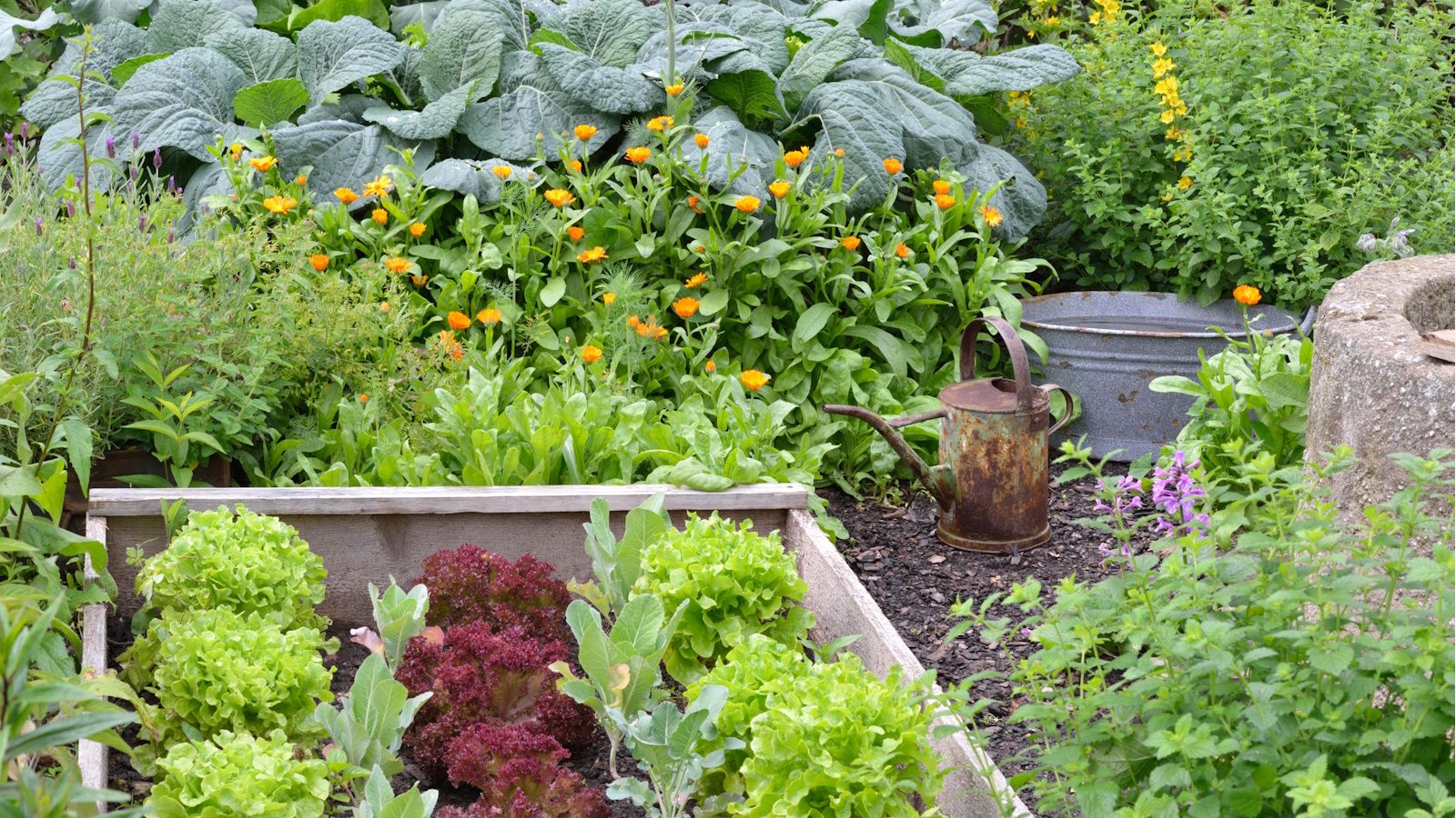 Turn Your Sunroom Into a Mini Salsa Garden: Peppers, Tomatoes, and Herbs in Containers