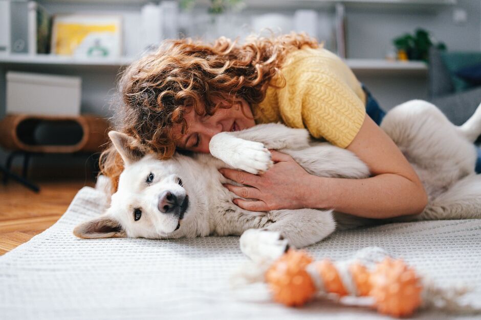 5 Signs You’re Not Ready for a Dog (Yet) — and What to Do Instead