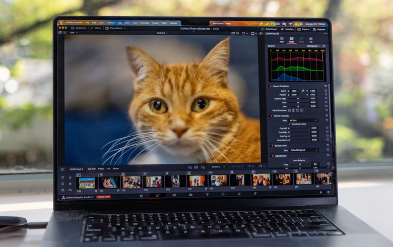 Want to Ditch Lightroom? How Free and Cheap Editors Now Cover 90% of What Casual Photographers Need