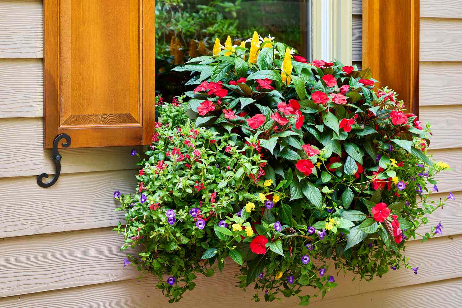 Invite Hummingbirds and Butterflies Into Your Sunroom Garden With Wildlife-Friendly Planters