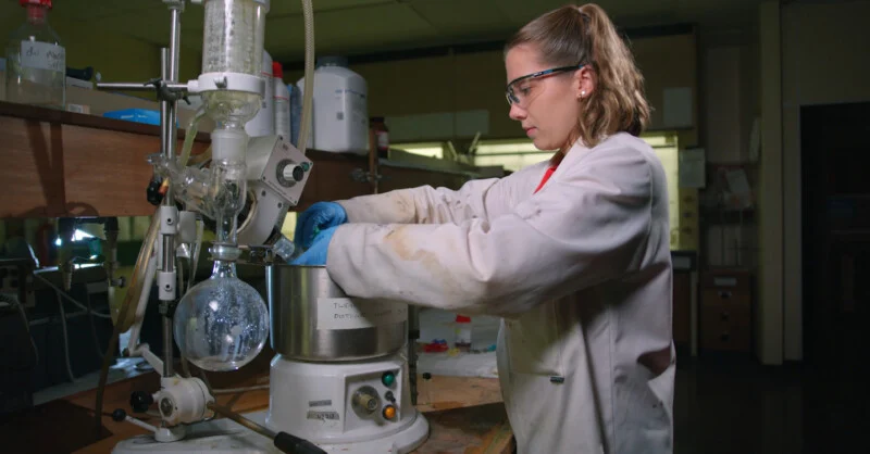 Inside Harman’s Film Factory: How One Company Is Keeping Analog Photography Alive