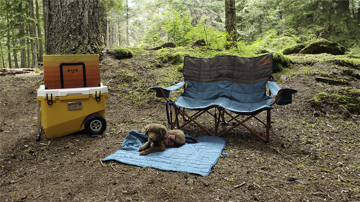 From Camp Chairs to Tarps: The Road Trip Camping Gear That Actually Deserves a Spot in Your Trunk