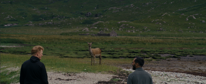 Two Under-the-Radar New Films That Could Freshen Up Your Next Movie Night
