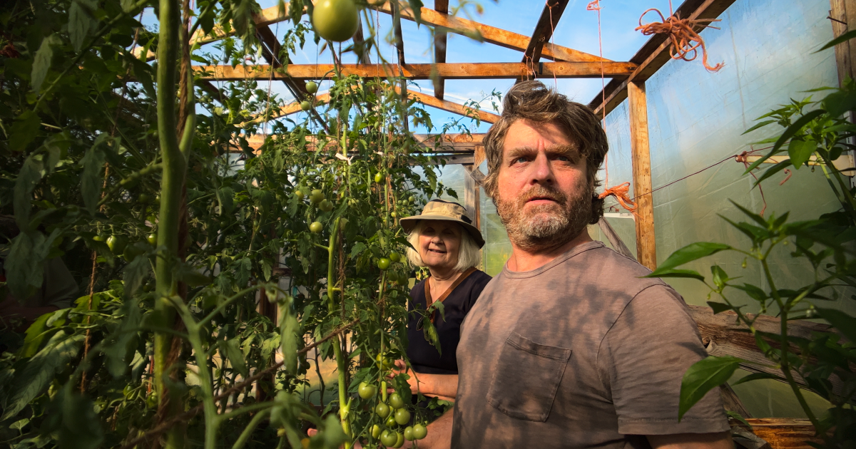 Feel-Good TV With a Purpose: How Food, Farming and Quirky Horror Became the New Variety Shows