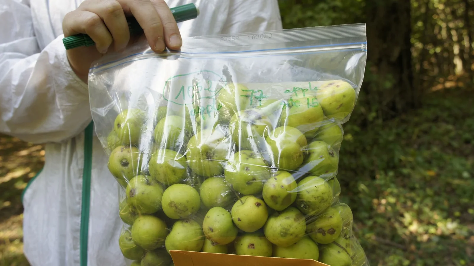 Sustainable Agriculture Is Becoming an Investment Magnet: What It Means for the Future of Farm Products