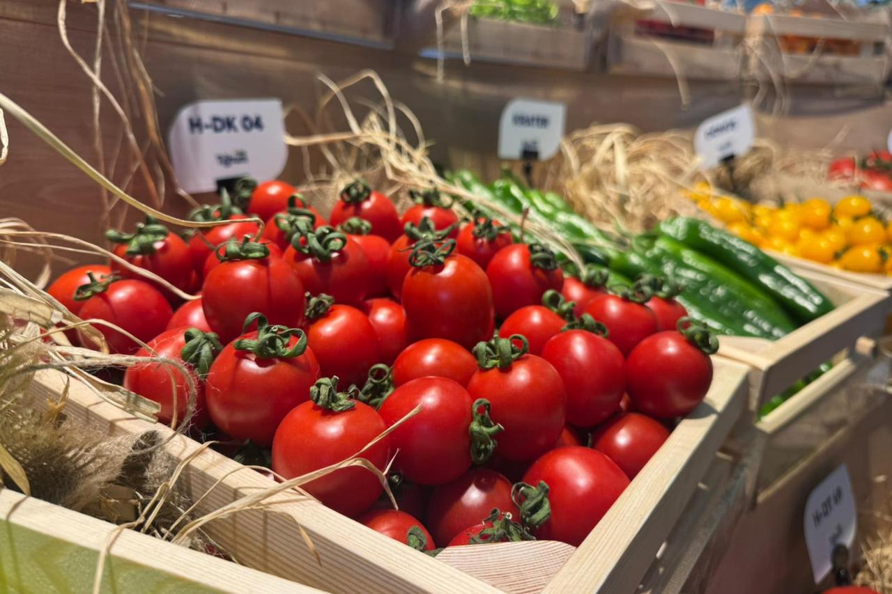Inside the Organic Shift: How Regenerative, Consumer-Led Farming Is Reshaping Your Food