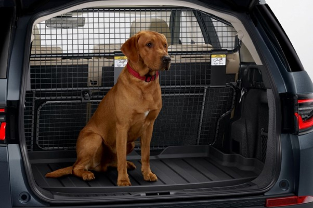 We Road-Tripped in a Stranger’s Car: Why Turo Might Finally Beat Traditional Rentals