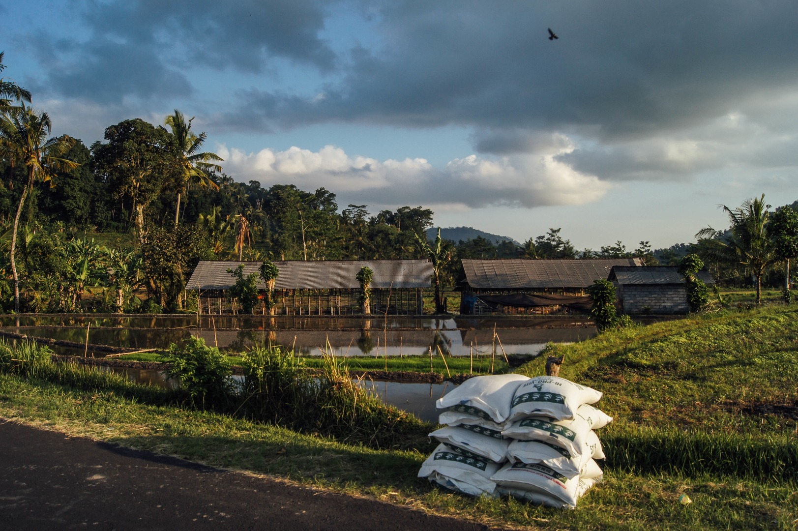 From Farm to Family Recipes: How Agroecology Could Protect Cultural Food Traditions in a Volatile World