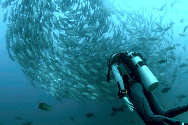 Plan a Spring Photo Dive Trip: Under-the-Radar Spots and Beginner-Friendly Camera Tips