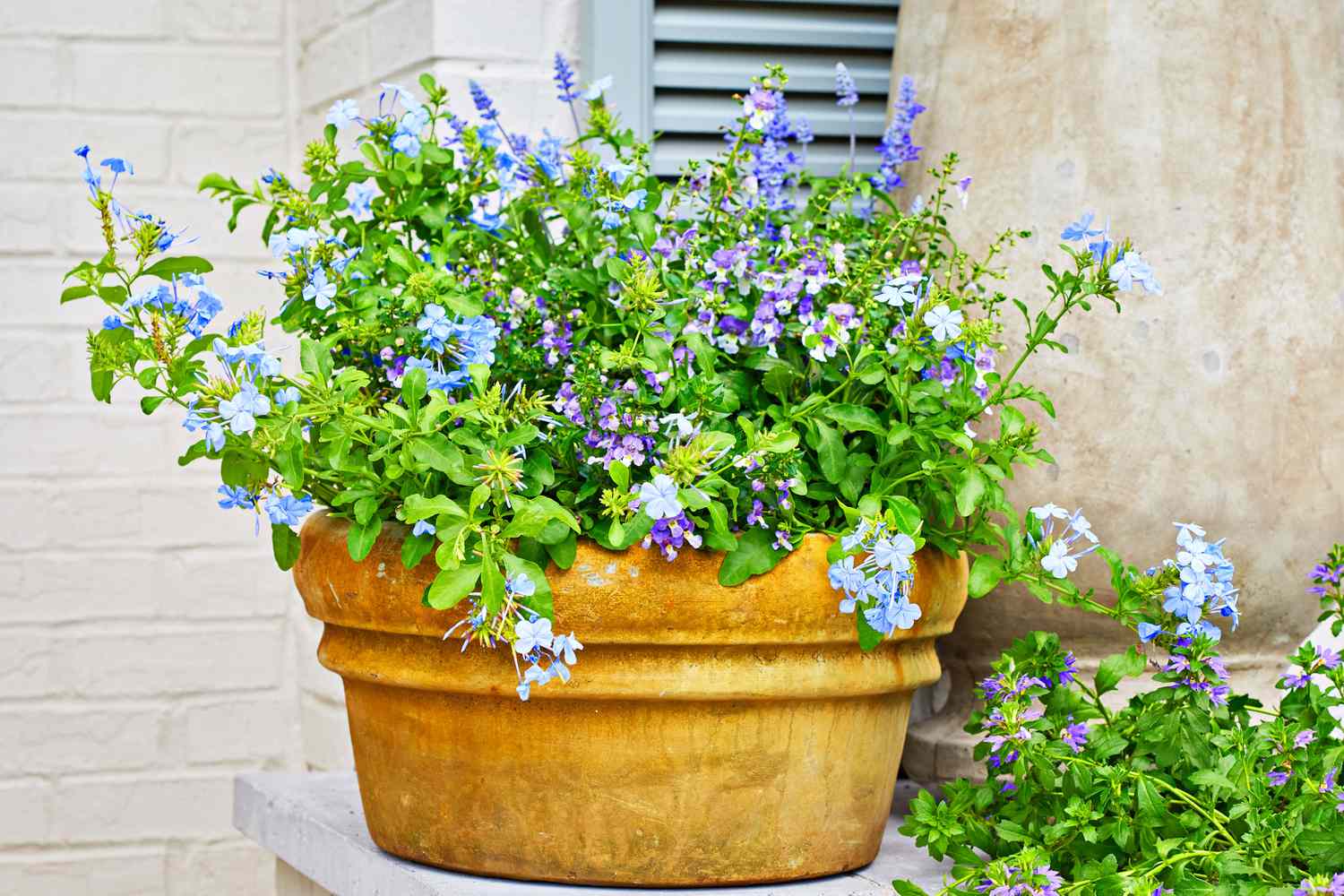 You’re Not a Plant Killer: Hidden Reasons Your Indoor Greenery Keeps Dying (and How to Fix Your Space)