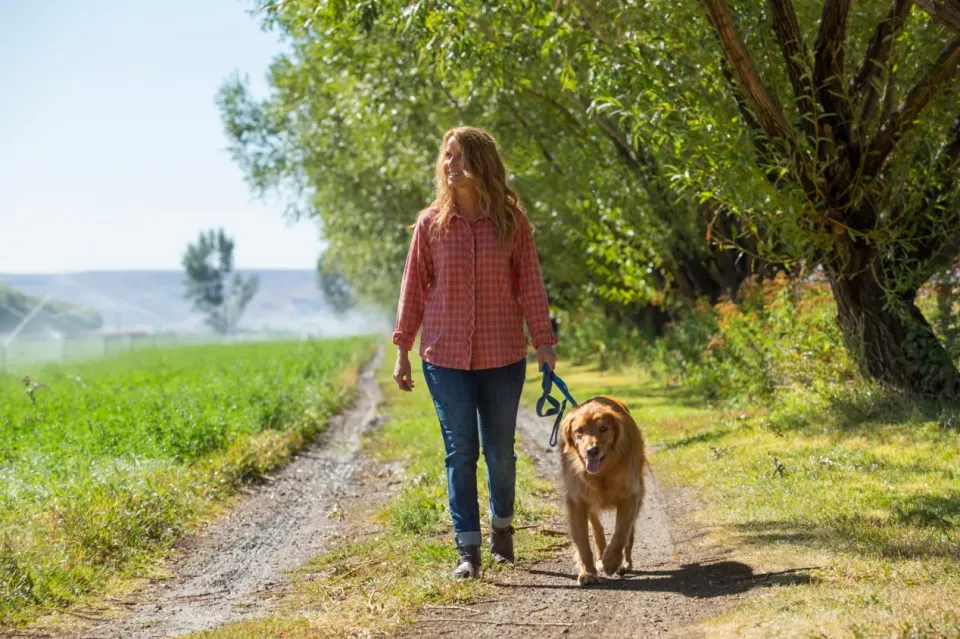 How Much Exercise Your Dog Really Needs Every Day (Plus Low‑Impact Ideas for Seniors)
