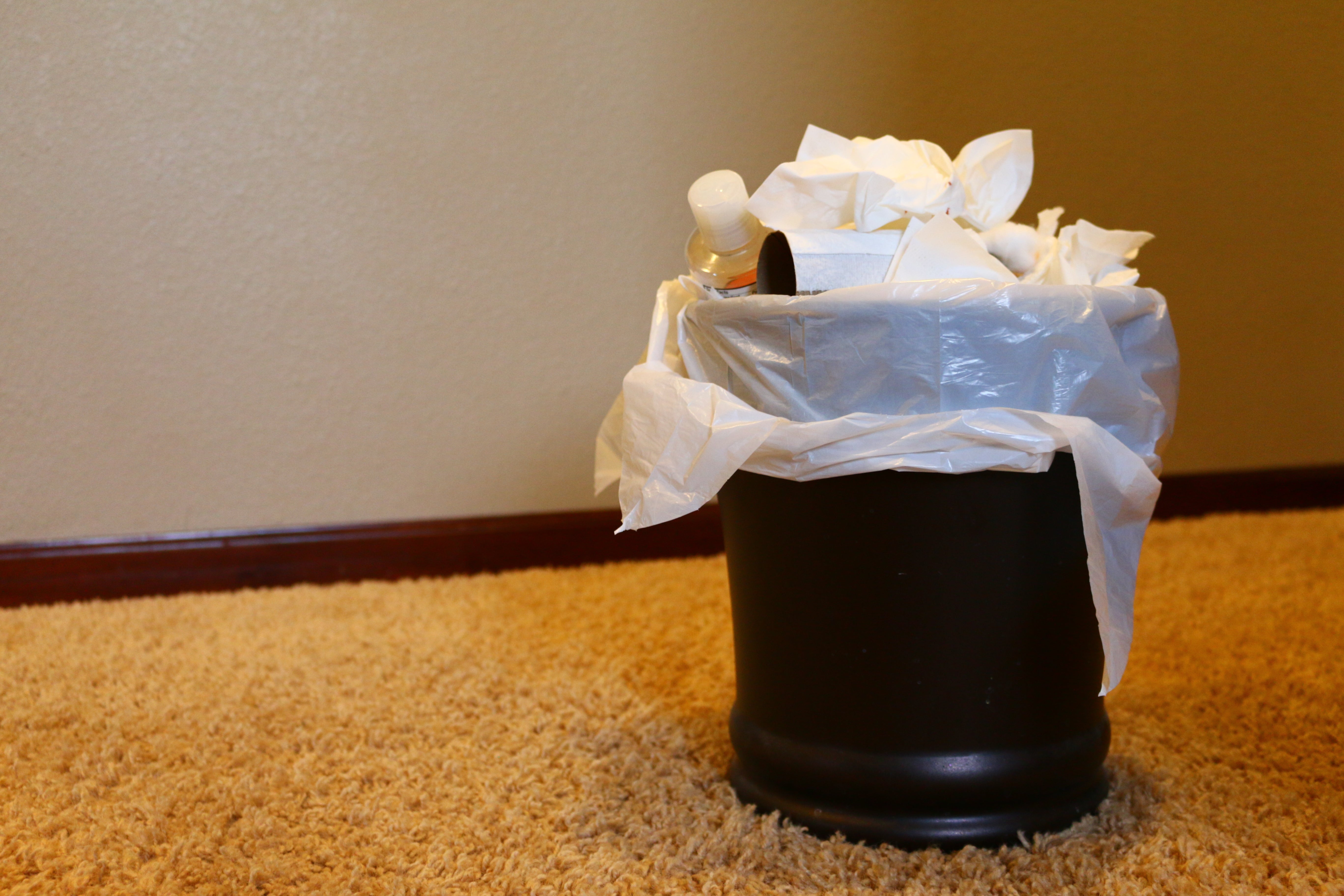 Keep Ants Out Without Harsh Sprays: 5 Scents That Help Protect Your Home
